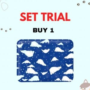 SET TRIAL